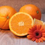 Come la vitamina C rafforza le funzioni immunitarie